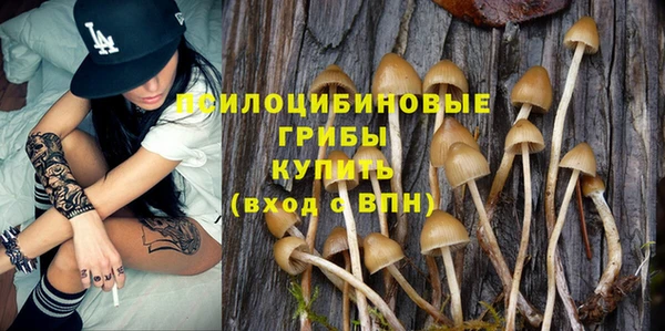 spice Пестово
